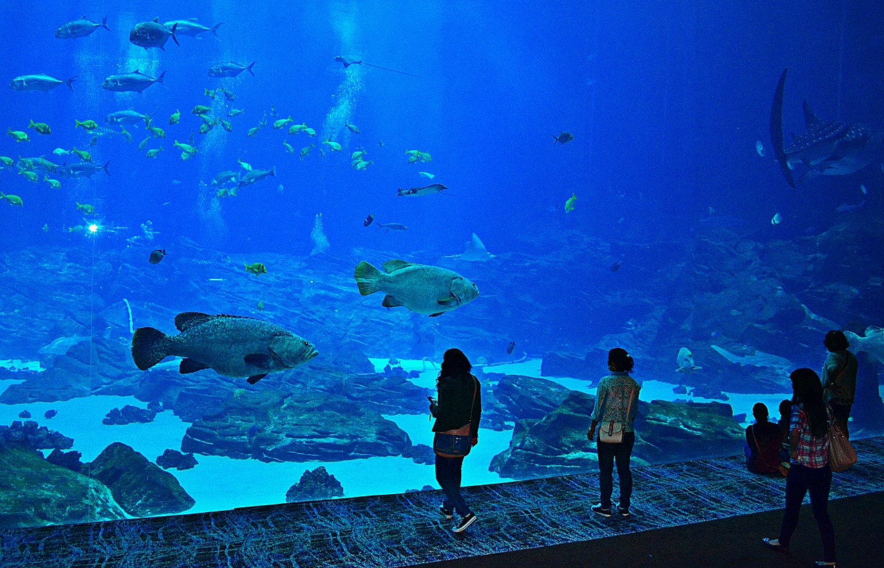 atlanta-aquarium